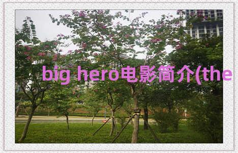 big hero电影简介(the big hero)